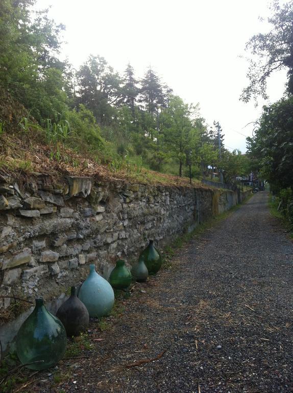 Villa Gioia Acqui Terme Extérieur photo